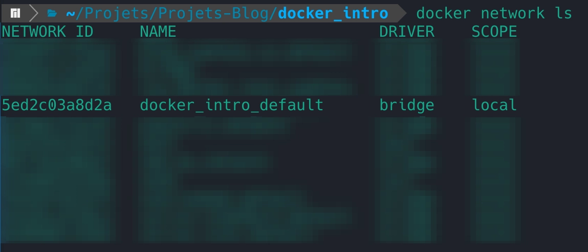docker network inspect