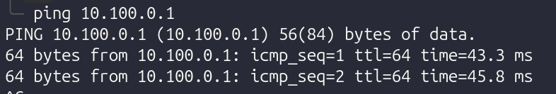 ping
