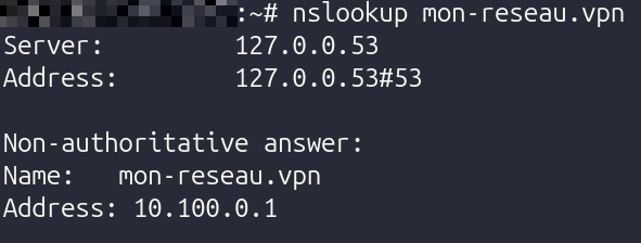nslookup